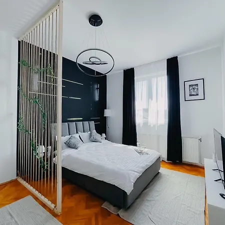 Relax & Work In Cozy Flat W Netflix & Wi-fi * Cluj-Napoca