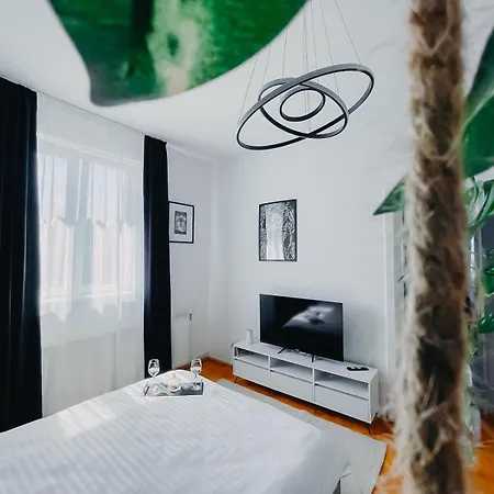 Relax & Work In Cozy Flat W Netflix & Wi-fi Apartamento Cluj-Napoca